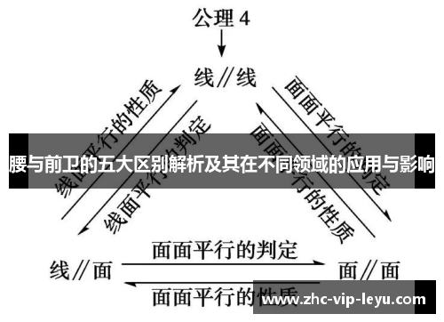 腰与前卫的五大区别解析及其在不同领域的应用与影响