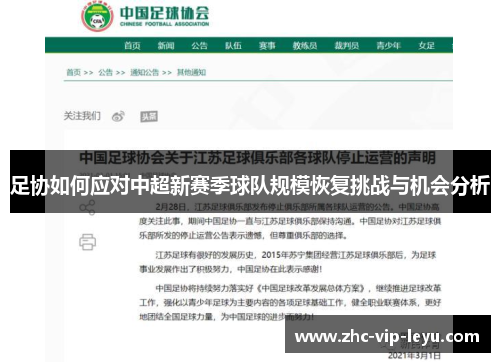 足协如何应对中超新赛季球队规模恢复挑战与机会分析