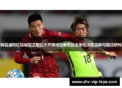 解码浦和红钻崛起之路五大关键成功要素的全景化深度洞察与路径研判