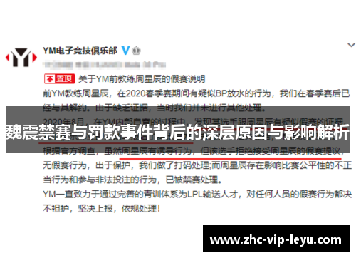 魏震禁赛与罚款事件背后的深层原因与影响解析