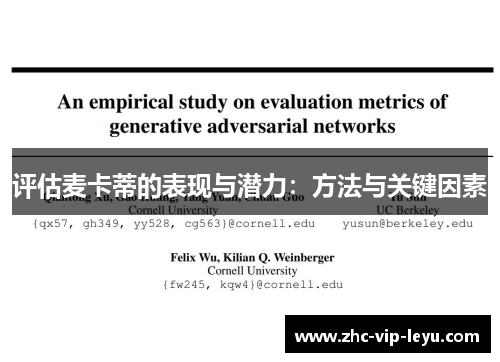 评估麦卡蒂的表现与潜力：方法与关键因素