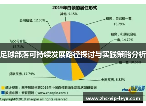 足球部落可持续发展路径探讨与实践策略分析
